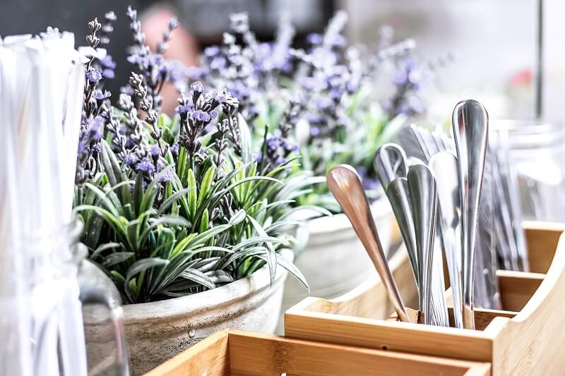 How to grow lavender indoors