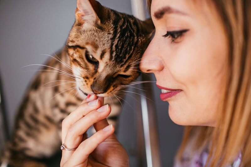 This is what your cat wants to communicate when it licks your face