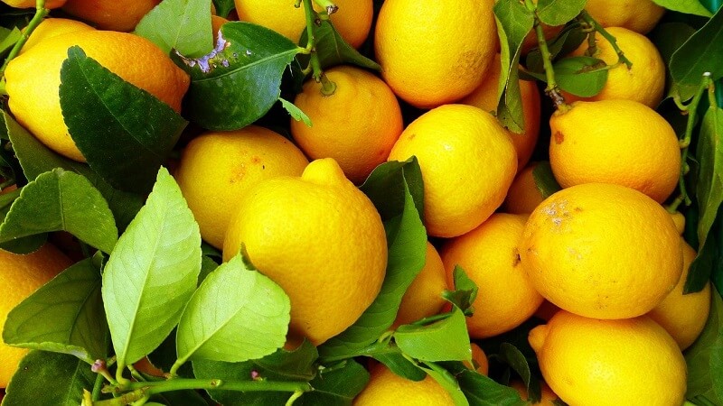 5 foods with a detoxifying effect that help you cleanse your body and lose weight in any season