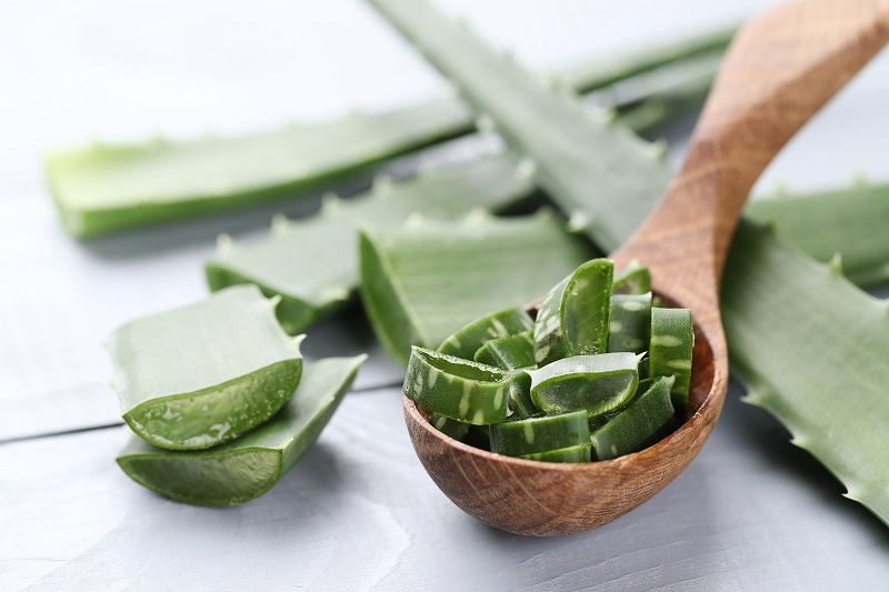 The many positive effects of aloe vera: treat eczema, allergy, fatigue and insomnia