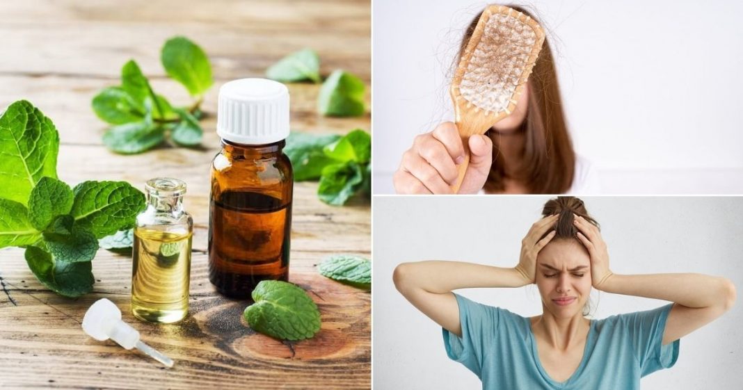 Five common health problems that can be solved with peppermint oil