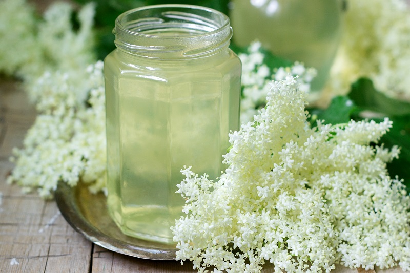 How to prepare a delicious and refreshing elderflower drink