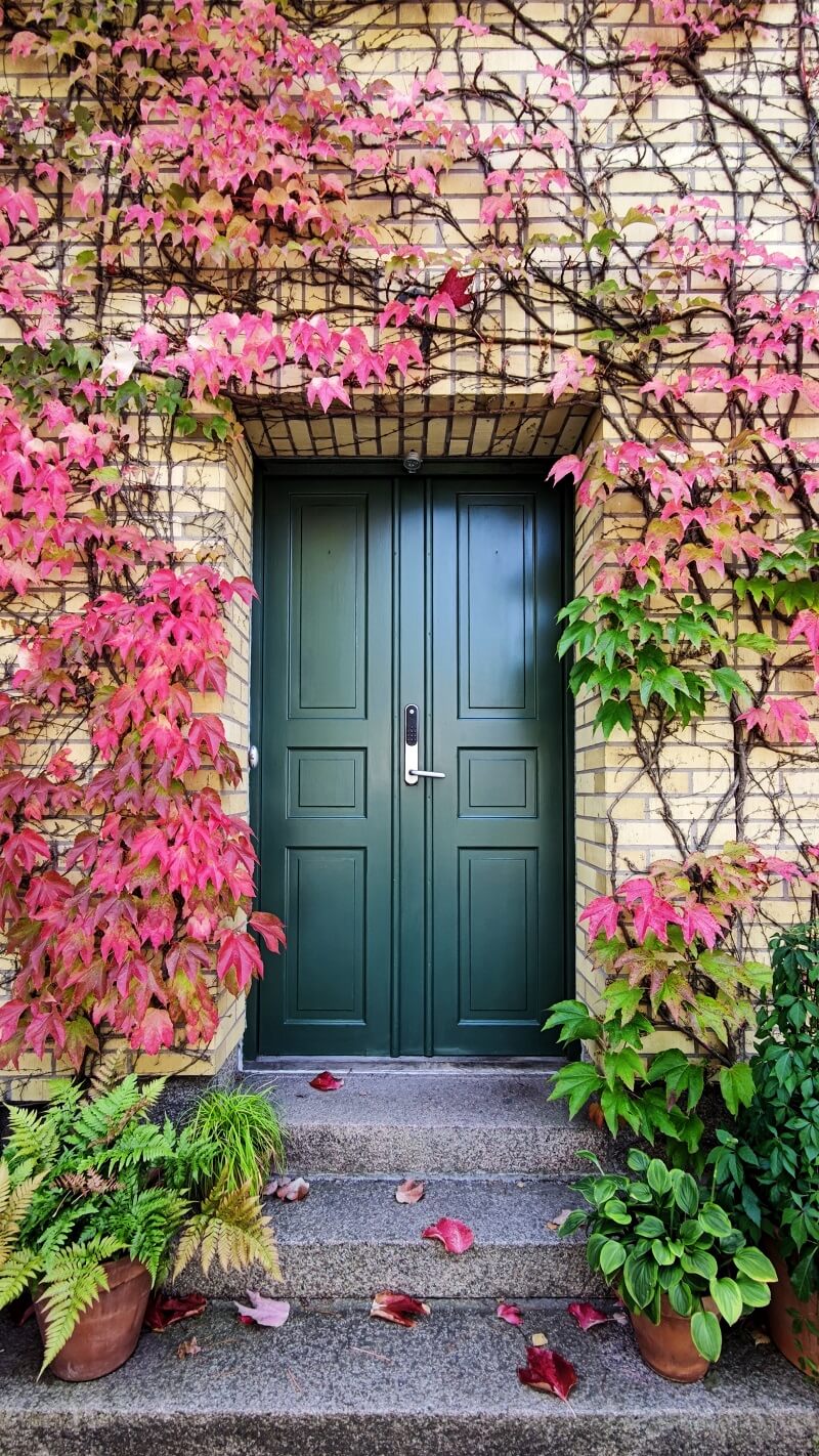 Pick an autumn door and find out what the Universe has in store for you in the coming months