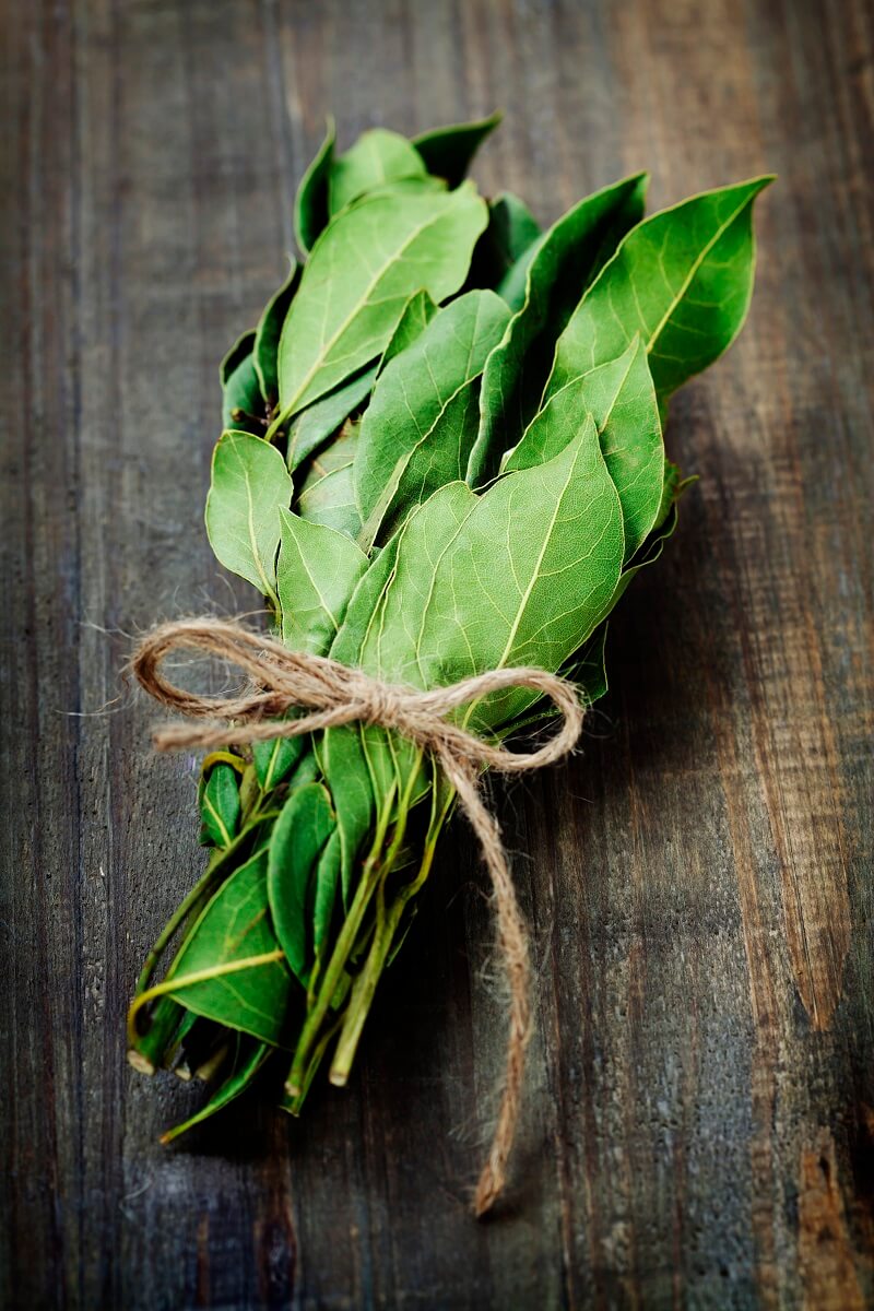 5 health benefits of bay leaf