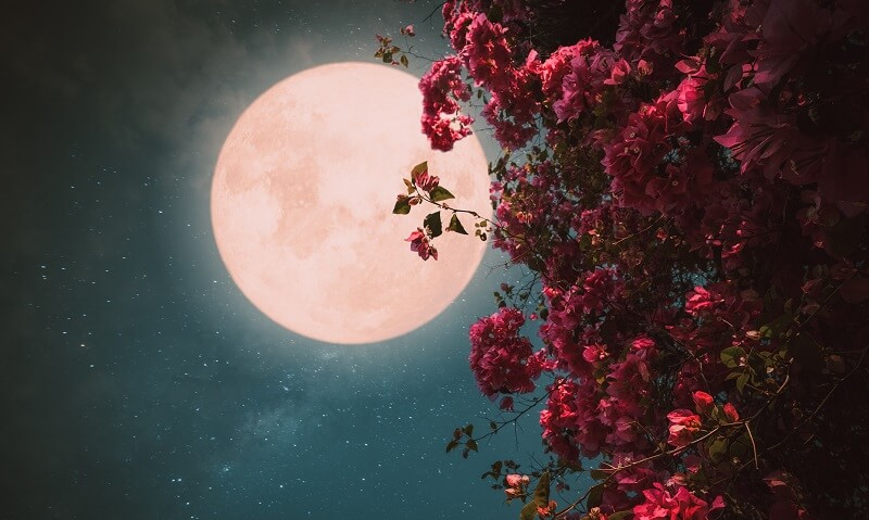 17 January. The first full moon of 2022 comes with divine power to heal and renew all souls
