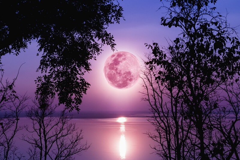 March 1 - the first new moon of spring brings happiness to sad hearts and peace to troubled souls