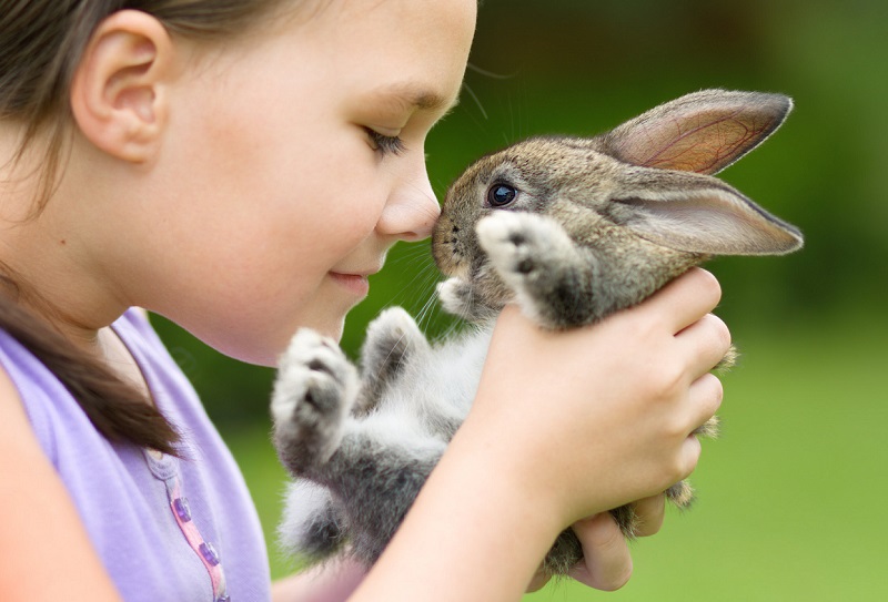 Why you should NOT buy your child a bunny for Easter