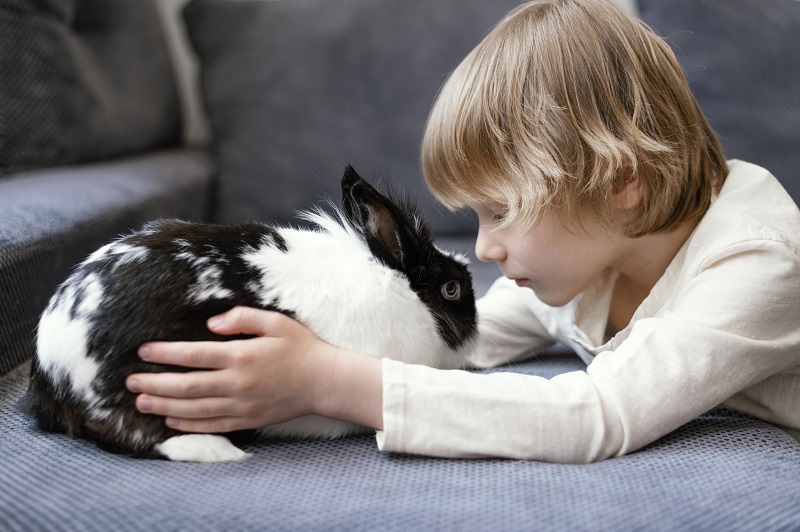 Why you should NOT buy your child a bunny for Easter