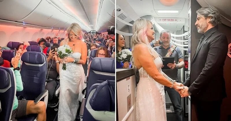 After missing their wedding, the couple got married on the plane in an impromptu ceremony