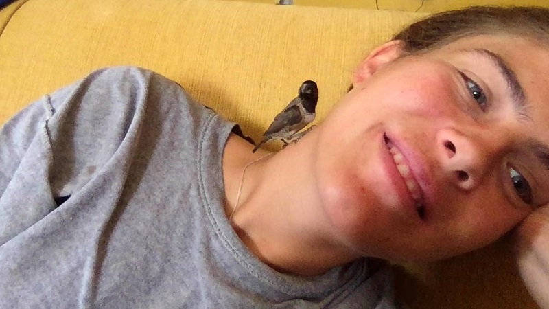 For almost 3 months, the little bird nested in the woman’s hair: a close relationship developed
