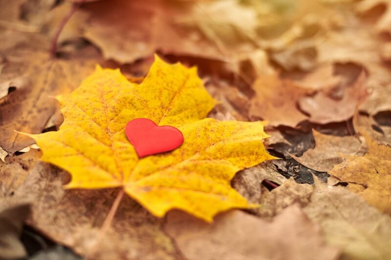 Great autumn love horoscope 2022: the planets predict passionate encounters
