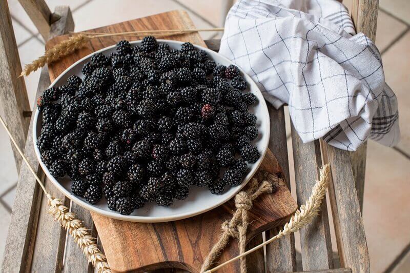 It’s blackberry season: here’s how to clean the honey-sweet fruit to get rid of any pests