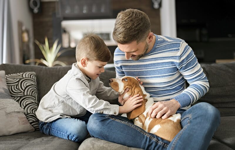 Why are children who have a dog or cat healthier? Three reasons to have pets