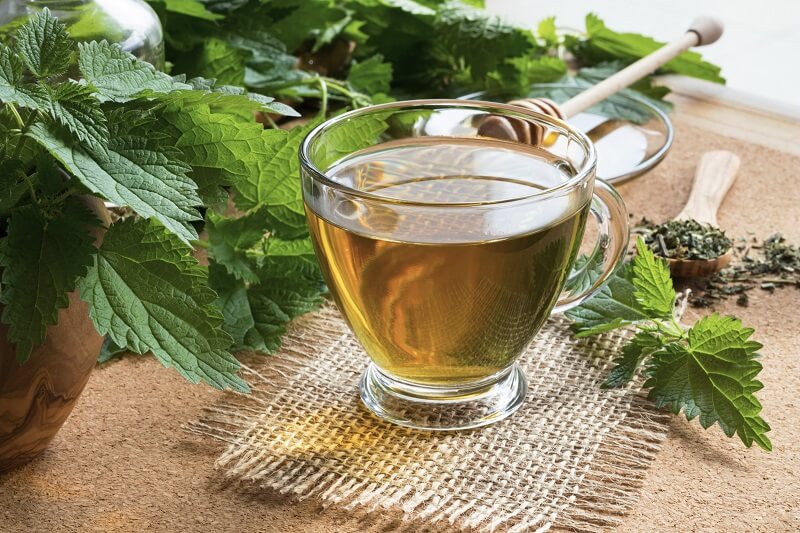 How to use nettle to treat arthritis