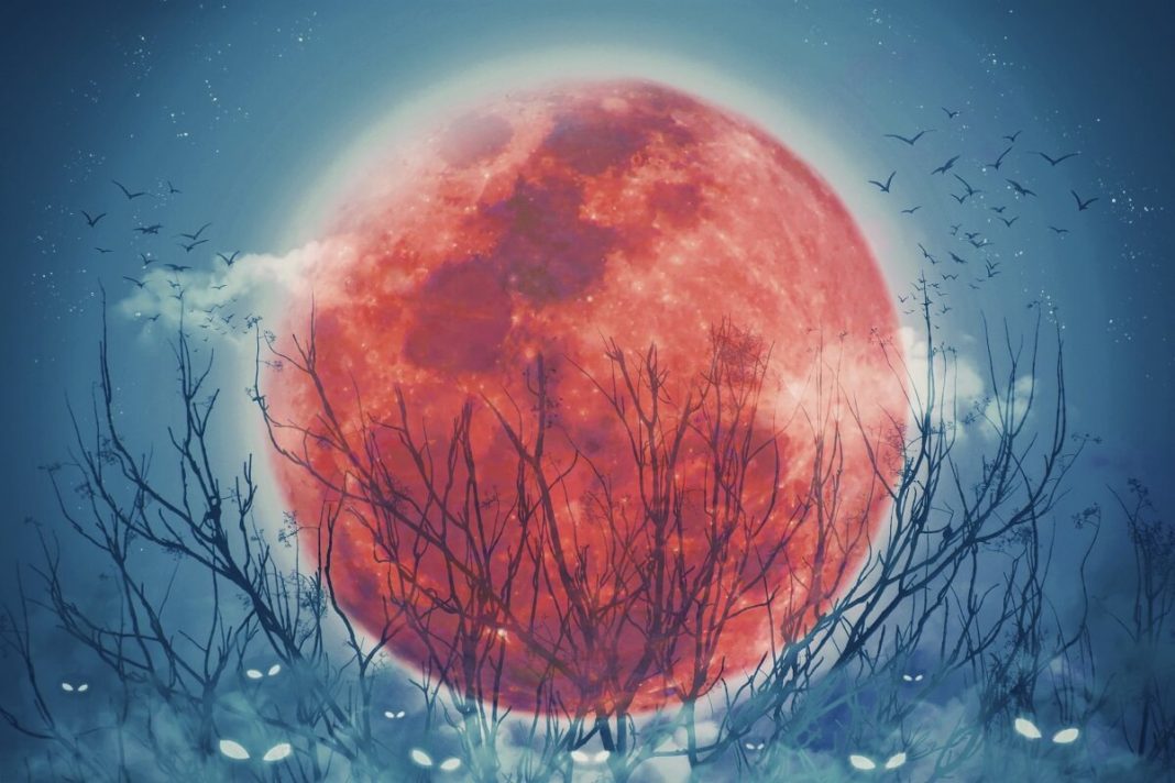 Full Moon of June 2023: the powerful energy brought by the Strawberry Moon makes the zodiac signs venture into the unknown
