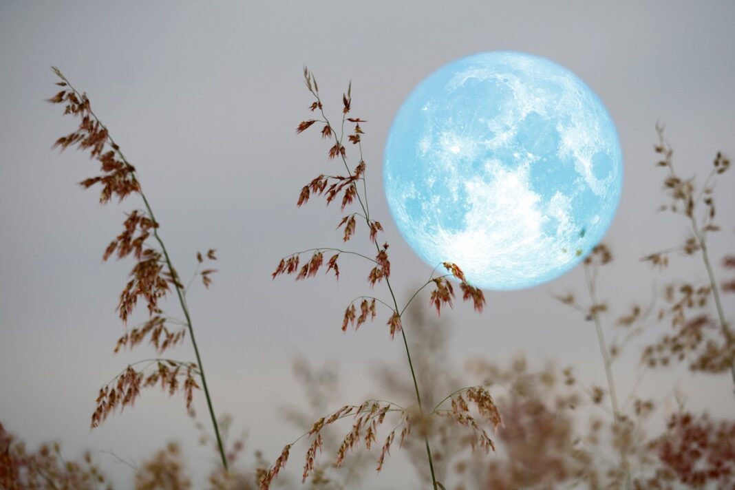 The first New Moon of spring purifies our souls. We have 72 hours to take advantage of its power